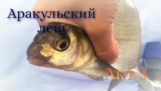 АРАКУЛЬСКИЙ ЛЕЩ (акт 3) - Завершение рыбалки