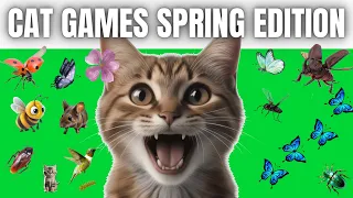 Cats Entertainment - Butterfly, Bugs & Others Parade in a Fairy Garden - CAT TV