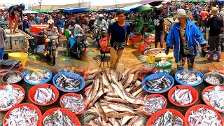 Amazing Cambodian Fish Market Activities. Wet Market Sells 9 Kilos Of Fish l Cambodian Fish Market