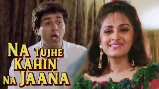Na Tujhe Kahin Na Jaana | Jayaprada Sunny Deol | Veerta (1993) | Kumar Sanu Asha Bhosle Hit Songs
