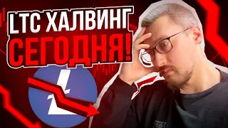 ЛАЙТКОИН ХАЛВИНГ СЕГОДНЯ🔥ЧЕГО ЖДАТЬ? ОТВЕТЫ НА ВОПРОСЫ: МОИ ЦЕЛИ И ПЕРСПЕКТИВЫ ПО LTC