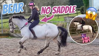 BULLIED INTO RIDING BEAR BAREBACK ~ Does this count as jumping this crazy pony?