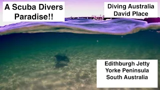 Edithburgh Diving, Diving Australia