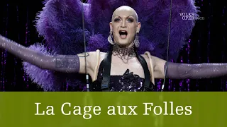 La Cage aux Folles – Kurzeinführung | Volksoper Wien