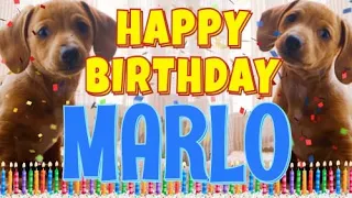 Happy Birthday Marlo! ( Funny Talking Dogs ) What Is Free On My Birthday