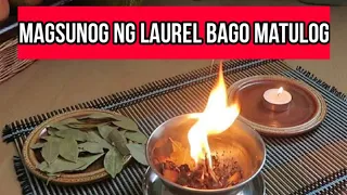 ⭐Ang 7 DAHILAN Kung Bakit ka Dapat MAGSUNOG ng LAUREL sa GABI!