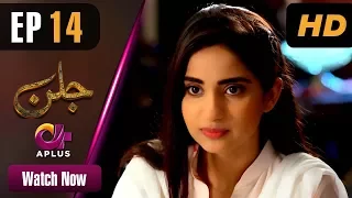 Drama | Jallan - EP 14 | Aplus ᴴᴰ Dramas | Saboor Ali, Imran Aslam, Waseem Abbas | C1D1