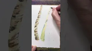 Birch trees wet in wet watercolour