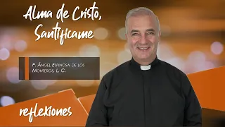 Alma de Cristo, Santifícame - Padre Ángel Espinosa de los Monteros