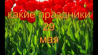 какой сегодня праздник?  29 мая  праздник каждый день  праздник к нам приходит  есть повод