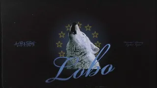 Albert Nbn-Lobo (Versuri/Lyrics)