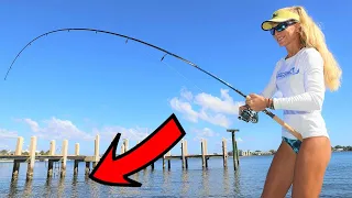 Inshore FISHING THE DOCKS for Snook! Stuart Florida Fishing Video!