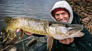 Schneller Fisch nach der Arbeit! So fängst du auch mit wenig Zeit!