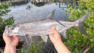 TARPON AND SNOOK FISHING- Canal Hopping Cape Coral, FL