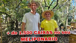 Ele tem + de 1.500 caixas de ABELHA SEM FERRÃO no RIO GRANDE DO SUL (PART. 1)