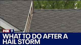 Hail: What to do following a Minnesota storm I KMSP FOX 9