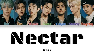 WayV - Nectar (Color Coded Chi|Pin|Eng Lyrics)