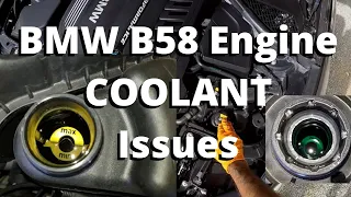 BMW B58 Engine - How to Check Coolant, and finding maintenance errors on my M140i! :(