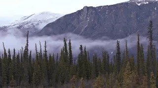 Classical Chinese Music (Erhu Performance) with Misty Mountains HD