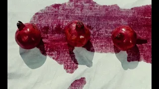 The Color of Pomegranates (1969) with OST by Nicolas Jaar