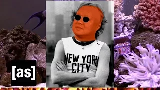 FishCenter Recap 10/13/15 | FishCenter | Adult Swim