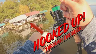 Ultra Shallow Senko Fishing Tips For Fall Bass