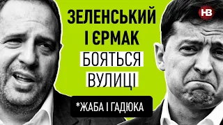 Що буде с Зеленським після президентства | Жаба і гадюка