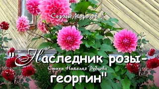 Н. РУБЦОВ - "НАСЛЕДНИК  РОЗЫ - ГЕОРГИН"-  исп. С. МОРОЗОВ