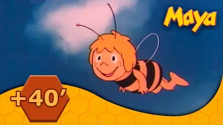 La abeja Maya 🕘 Compilación +40' (Ep40, Ep41)