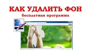 Как сделать прозрачный фон в Paint.NET (бесплатно)