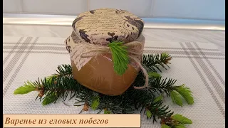 Варенье из сосновых побегов. Рецепт вкусного и полезного варенья