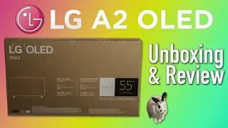 LG A2 55" OLED 4K UHD Smart TV | Unboxing & Review