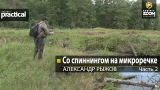 Со спиннингом на микроречке. Часть 2. Александр Рыжов. Anglers Practical