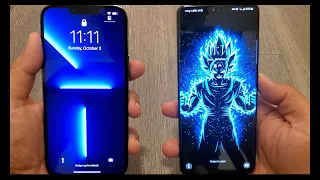 iPhone 13 Pro Max vs Galaxy S21 Ultra Display Test