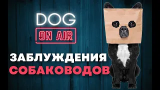 Рассказываю про заблуждения собаководов 🎙️ Какие утверждения ложные и самое главное почему? 🤔