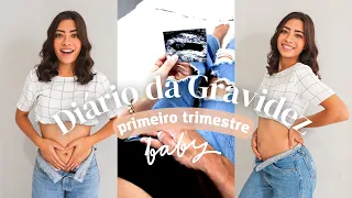 DIÁRIO DA GRAVIDEZ:  O que senti no primeiro trimestre | Monique Nicassio