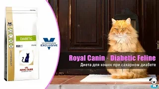 Сухой корм диета для кошек страдающих сахарным диабетом · Royal Canin Diabetic Feline