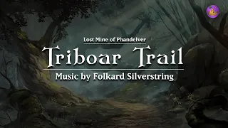 Lost Mine of Phandelver - Triboar Trail | 1 Hour Orchestral Music | Dungeons & Dragons