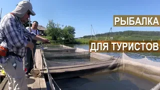 Фермерская форель РыбаLove. Рыбалка для туристов. Агротуризм