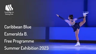 Caribbean Blue - Esmeralda B. - Summer Exhibition 2023