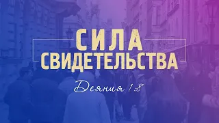 Сила свидетельства (Алексей Коломийцев)