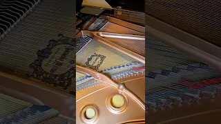 Произведение искусства - Yamaha C3 Studio Grand Piano!