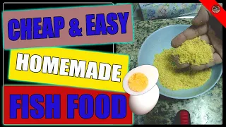 Cheap & Easy Homemade Fish Food | High Protein