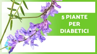 5 PIANTE MEDICINALI per IL DIABETE 🌿 Abbassa lo zucchero naturalmente ✅