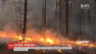 У Житомирській області на території Білокоровицького лісгоспу спалхнула пожежа