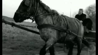 The Turin Horse , by  Béla Tarr