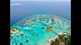 Maldives Centara Grand Island Resort & Spa Malediven, Whale Shark, Turtle, Sharks, Beaches