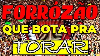 FORRÓZÃO QUE BOTA PRA TORAR, FORRÓ SHOW CHAMEGADO , PRA TODOS DANÇAR MUSIC MIX HITS NEW BALADA DANCE