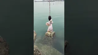 fishing crab with chicken