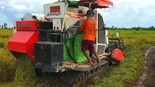 Fantastic Techniques Operator Kubota Combine Harvester Working In Deep Water At Rice Farms #001 14